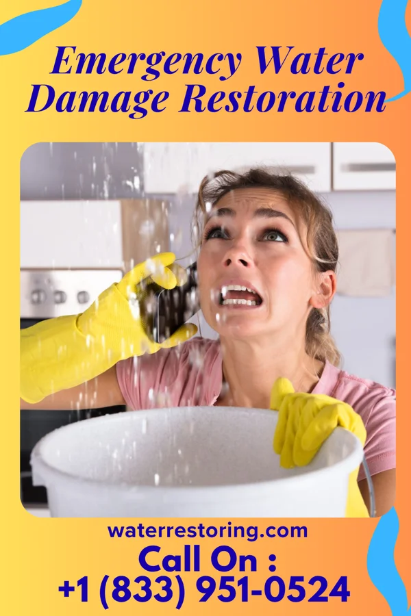 Emergency Water Damage Restoration in Halstad, MN