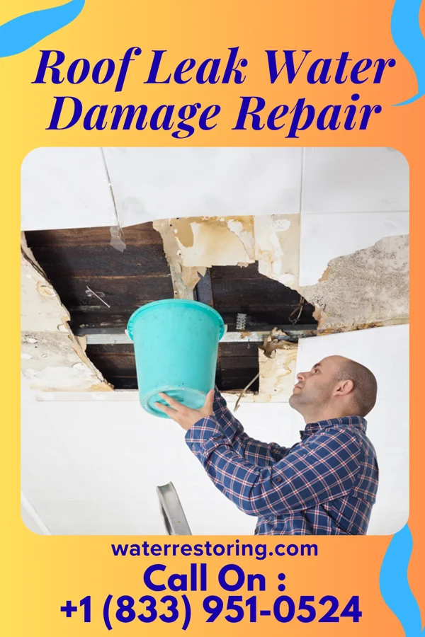 Roof Leak Water Damage Repair in Halstad, MN